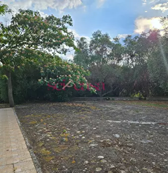 Foto annuncio 29