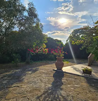 Foto annuncio 34