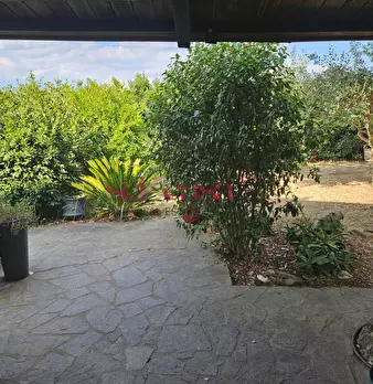 Foto annuncio 36