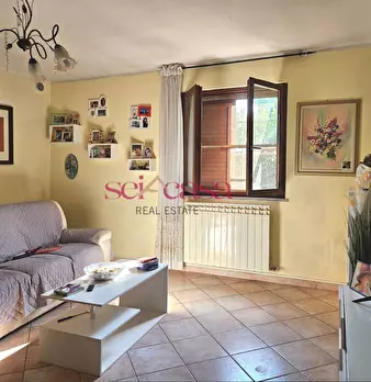 Foto annuncio 7