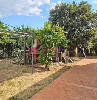 Foto annuncio 31