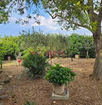 Foto annuncio 4