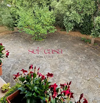 Foto annuncio 12