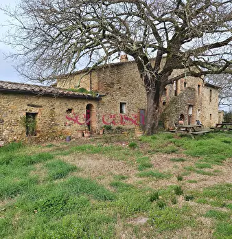 Foto annuncio 13