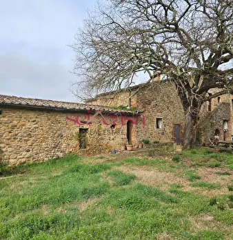 Foto annuncio 14