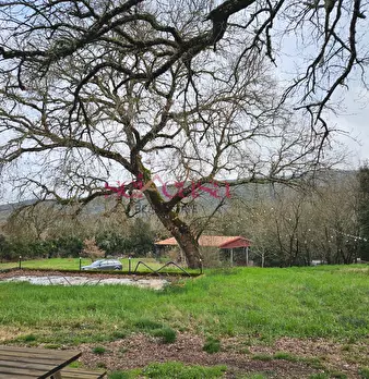 Foto annuncio 18