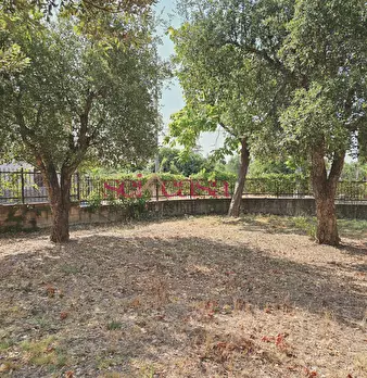 Foto annuncio 37