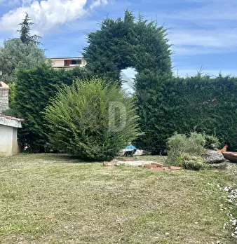 Foto annuncio 40