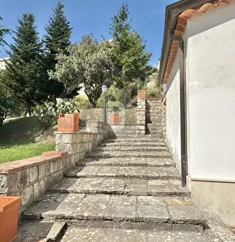 Foto annuncio 57