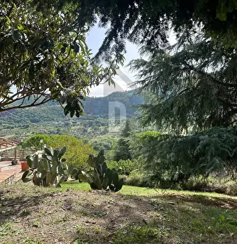 Foto annuncio 58