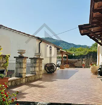 Foto annuncio 62