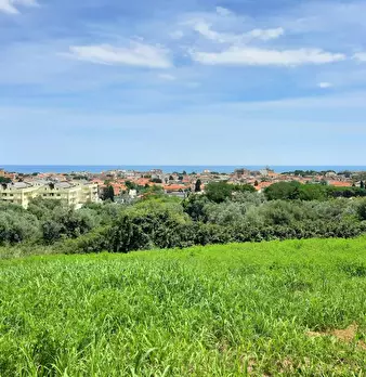 Foto annuncio 2