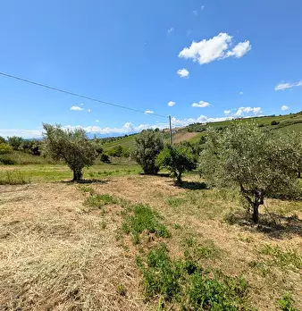 Foto annuncio 16