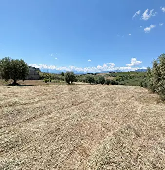 Foto annuncio 2