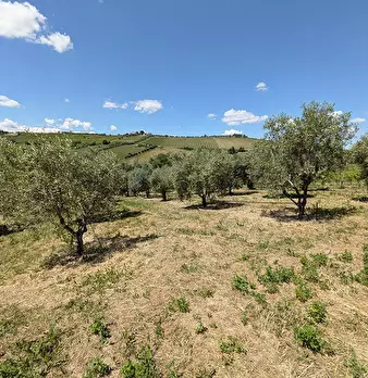 Foto annuncio 4