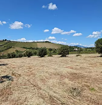 Foto annuncio 5