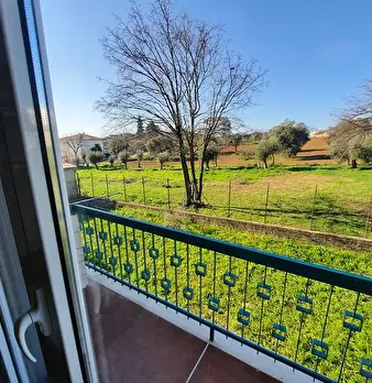 Foto annuncio 11