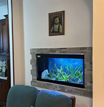 Foto annuncio 13