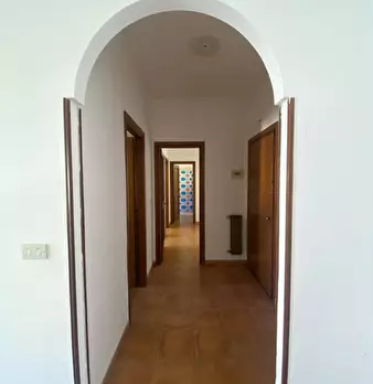 Foto annuncio 12