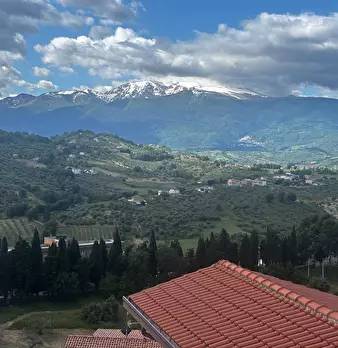 Foto annuncio 5
