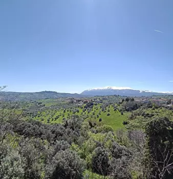 Foto annuncio 16