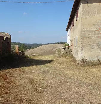 Foto annuncio 31