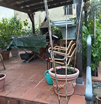 Foto annuncio 24