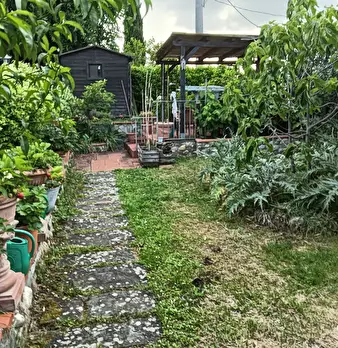 Foto annuncio 23