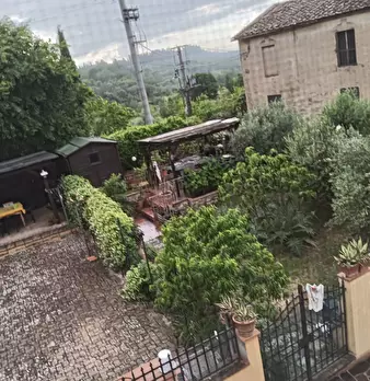 Foto annuncio 16