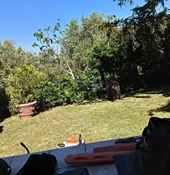 Foto annuncio 24