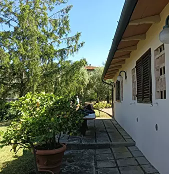 Foto annuncio 25