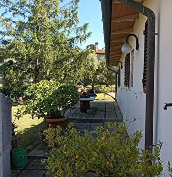 Foto annuncio 26