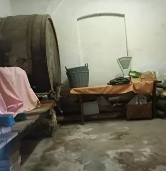 Foto annuncio 28