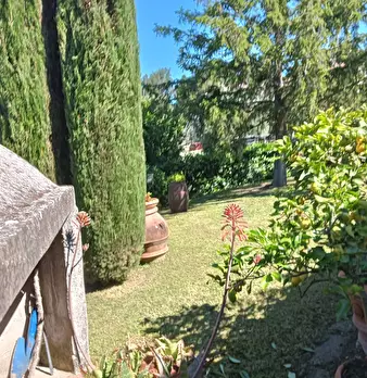 Foto annuncio 29