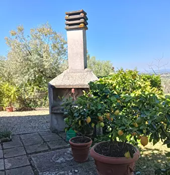 Foto annuncio 32