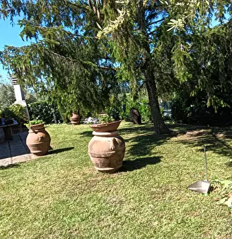 Foto annuncio 34