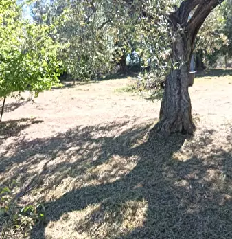 Foto annuncio 35