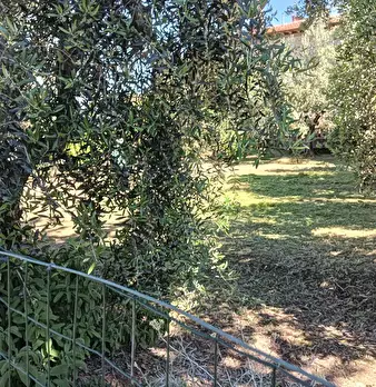 Foto annuncio 37
