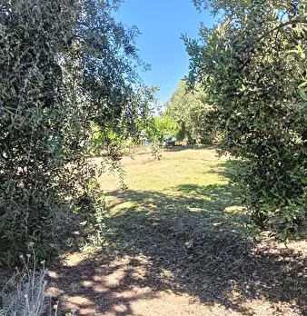 Foto annuncio 38