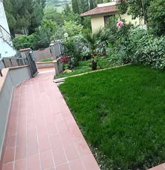 Foto annuncio 16