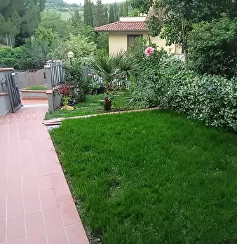 Foto annuncio 17
