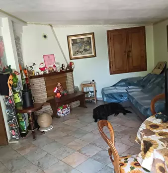Foto annuncio 12