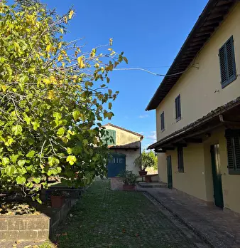 Foto annuncio 3