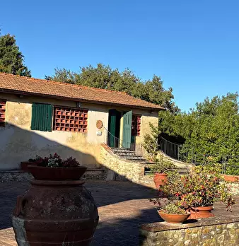 Foto annuncio 7