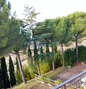 Foto annuncio 7