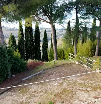 Foto annuncio 15