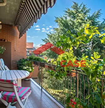 Foto annuncio 12