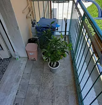 Foto annuncio 7