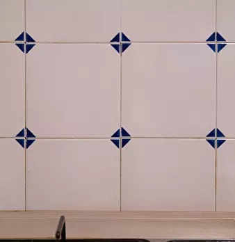 Foto annuncio 12