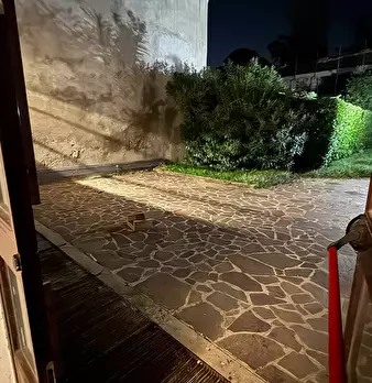 Foto annuncio 26